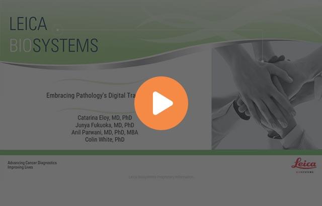 embracing-pathologys-digital-transformation-640x410 embracing-pathologys-digital-transformation-640x410