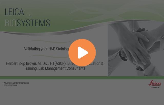 validating-your-he-staining-systems-640x410 validating-your-he-staining-systems-640x410