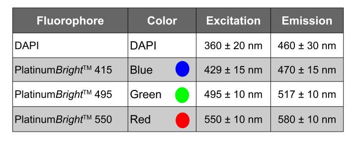 fluorophores-information-v2